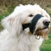 Hot Mundkurvestrop XL Tilbehør Til Hund - Alt Til En Glad Og Tryg Hverdag For Din Bedste Ven