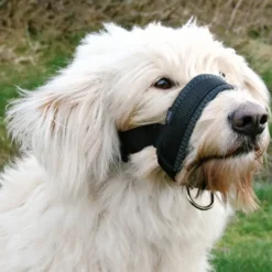 Hot Mundkurvestrop XL Tilbehør Til Hund - Alt Til En Glad Og Tryg Hverdag For Din Bedste Ven