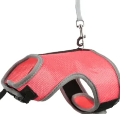Clearance Soft sele 24-40 cm til stor Kanin med line Seler & Liner Til Kæledyr