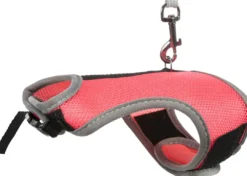 Online soft sele til kanin 25-32 cm Seler & Liner Til Kæledyr