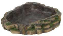 Sale vand/foderskål regnskov 24x5,5x20 cm Foderskåle Og Vandskåle Til Terrarier