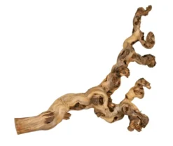 Discount Vingren Vandblæst 55-75 cm Aquascaping|Dekoration Til Terrarier