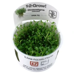 Clearance Tropica Glossostigma elatinoides 1-2-GROW x 3 Akvarieplanter