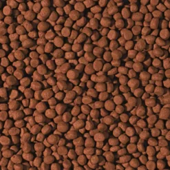 Sale Cichlid Carnivore Medium Pellet 1000 ml 360 g Fiskefoder Til Ferskvandsfisk