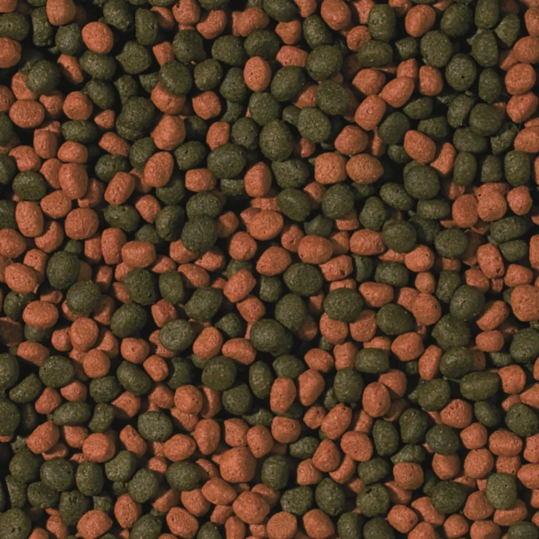 Sale Cichlid Omnivore Medium Pellet 1000 ml Fiskefoder Til Ferskvandsfisk