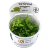 Best Tropica Pogostemon Helferi 1-2-GROW Akvarieplanter