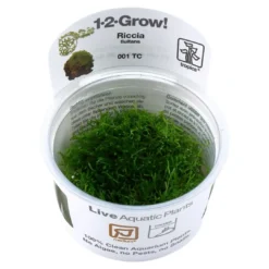 Outlet Tropica Riccia fluitans 1-2-GROW Akvarieplanter