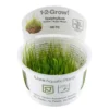 New Tropica Taxiphyllum barbieri 'Bogor Moss' 1-2-GROW Akvarieplanter
