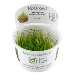 New Tropica Taxiphyllum barbieri 'Bogor Moss' 1-2-GROW Akvarieplanter