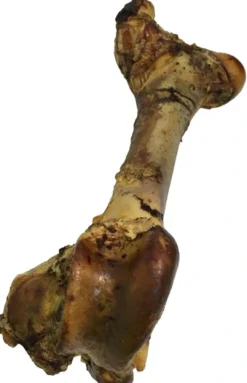 Hot Tørrede okseben Gigant XL 40-50 cm - ekstra stort naturtyg Hundeguf Og Tyggeben Til Hunde