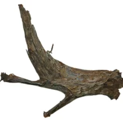 Clearance Trærod (Mangrovetræ) XXL 60-80 cm Aquascaping|Dekoration Til Terrarier