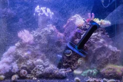 New Care Magnet Long (0222.015) Andet Akvarieudstyr