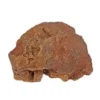Hot Tygge Trærod L 500-750 g - Robust tyggelegetøj til hunde Hundeguf Og Tyggeben Til Hunde