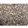 Sale Tyroler nødder 25 kg Fuglefoder