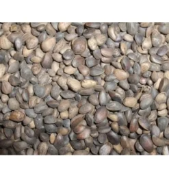 Sale Tyroler nødder 25 kg Fuglefoder