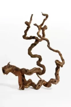 Outlet Vinrankerod 40-70 cm (Winewood) Aquascaping|Dekoration Til Terrarier