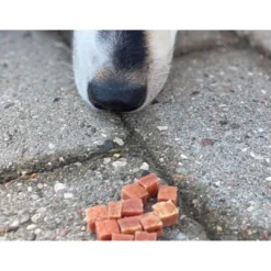 Woolf Hundesnack And Chunkies Snacks Til Hvalpe - Lækre Godbidder Til Træning Og Forkælelse|Hundeguf Og Tyggeben Til Hunde