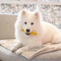Online Yaki Gurkemeje 60-69 g M - mellemstort tyggeben til hunde Hundeguf Og Tyggeben Til Hunde