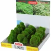 Best Zolux Kipouss Pebble Stone With Live Plant Seeds Aquascaping