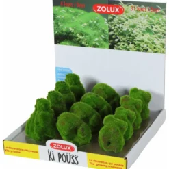 Best Zolux Kipouss Pebble Stone With Live Plant Seeds Aquascaping